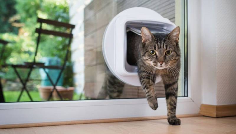 comment trouver un vitrier professionnel pour installer une chatière dans un vitrage à Strasbourg et dans le Bas-Rhin